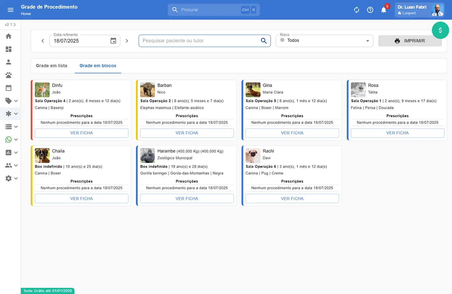 Captura de tela da grade de procedimentos